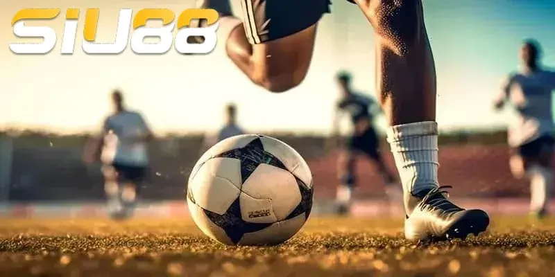 Sin88 sở hữu mạng lưới người chơi đông đảo trải dài khắp toàn cầu